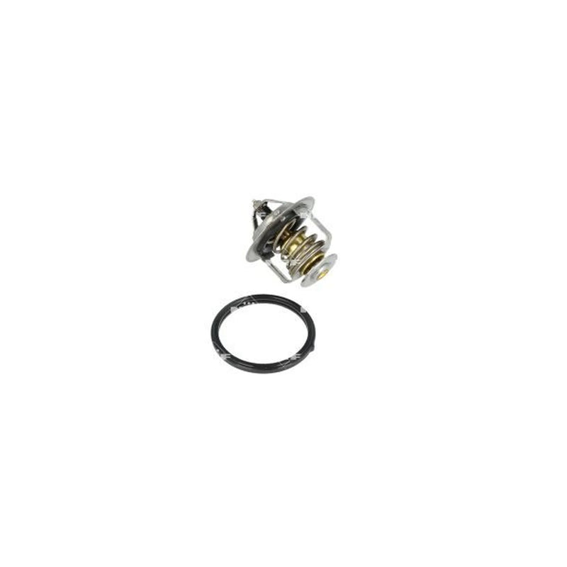 NRF Thermostat,Coolant 725201