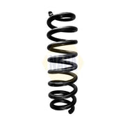 NAPA Rear Suspension Coil Spring NCS1684