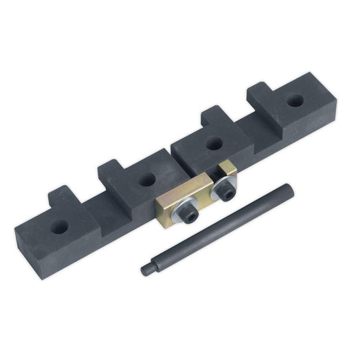 Sealey Petrol Engine Timing Tool Kit for BMW M42/M50/M52/M52TU/M54/M56 Chain Dri Sealey  - Town Parts