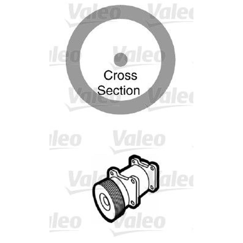 Valeo A/C O'Ring - Bag Per 20 509171 60811 547 509171