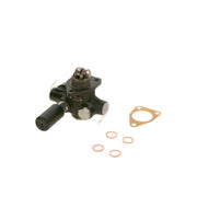 Bosch Fuel Pump Assembly 0 440 008 994