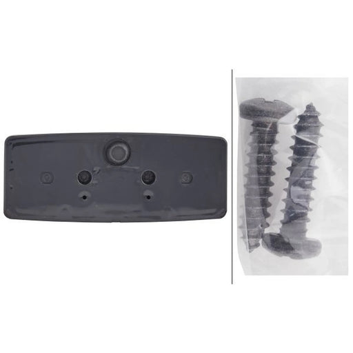 Hella Direction Indicator Light Left 2BE 003 184-051