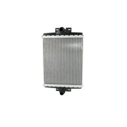 NRF Engine Radiator Left Front 550274