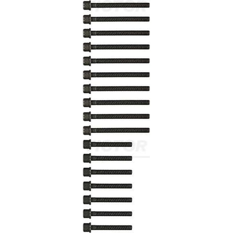 Victor Reinz Cylinder Head Bolt Set M11 14-32174-02