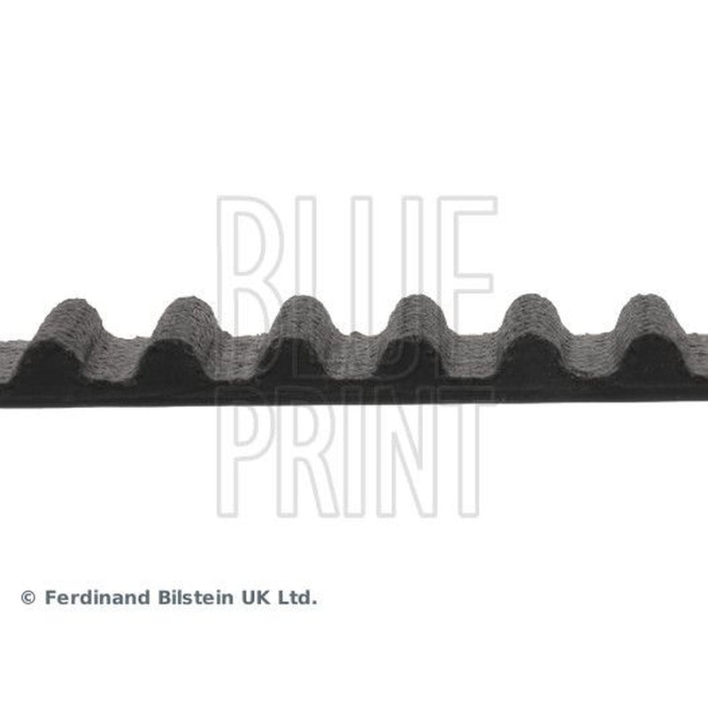 Blue Print Timing Belt Cambelt 127 Teeth ADH27519