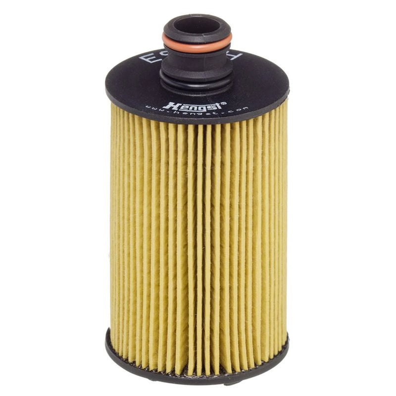 Hengst Engine Oil Filter E950H D485