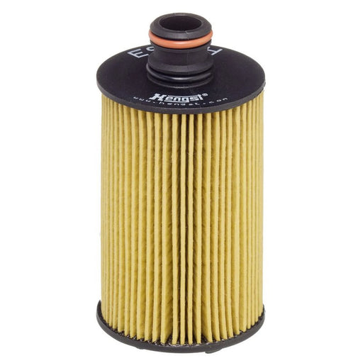 Hengst Engine Oil Filter E950H D485
