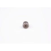 Bosch Engine Control Valve 2 418 554 063