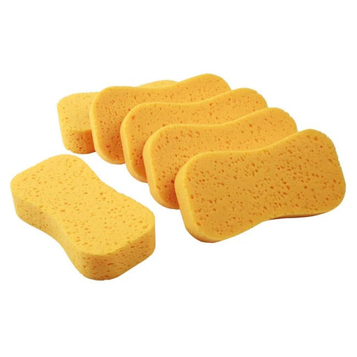 Connect Wash Sponges 6pc - CPL