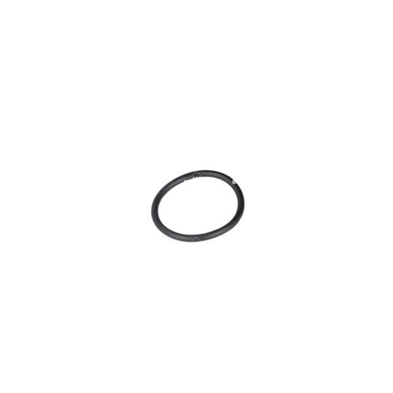 NRF Thermostat,Coolant 725244