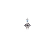 Bosch Automotive Bulb 1 987 301 136