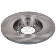 Febi 2 x Solid Rear Brake Discs 1000747