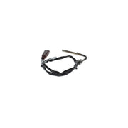 Bosch Exhaust Gas Temperature Sensor before soot 0 986 259 163