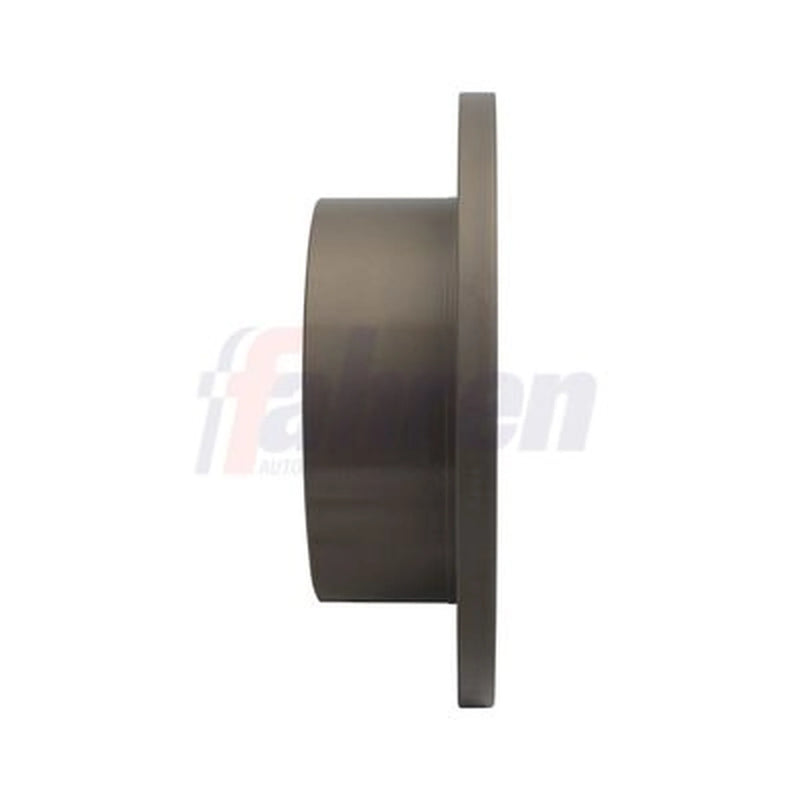 Fahren 2 x Solid Rear Brake Discs FBD6185