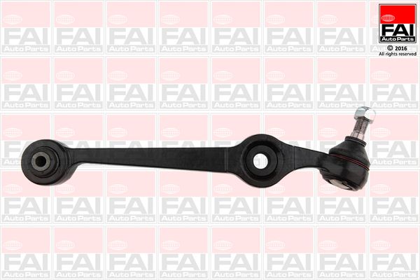 FAI Control/Trailing Arm