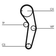 Continental CTAM Timing Belt Cambelt 111 Teeth CT1053