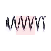 Apec 2 x Suspension Springs ACS2309