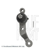 Blue Print Ball Joint Lower ADT386120