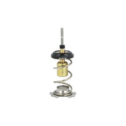 NRF Thermostat,Coolant 725093