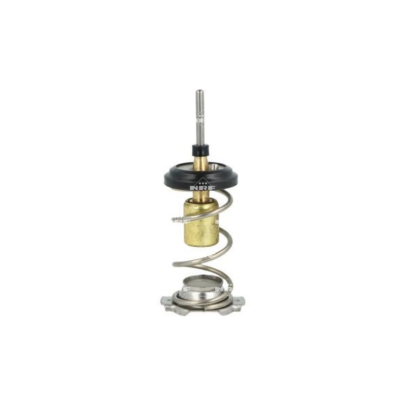 NRF Thermostat,Coolant 725093