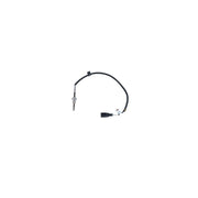 NRF Exhaust Gas Temperature Sensor after soot particulat 707043