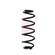Apec Rear Suspension Coil Spring ACS2336