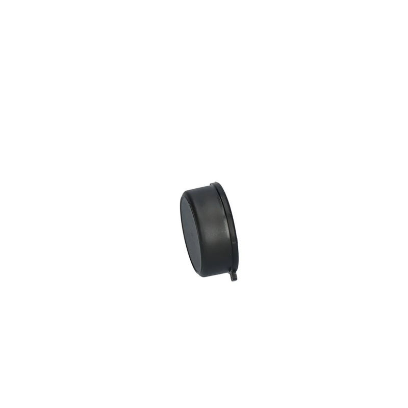Valeo Capsules X 10 (Alt) 590629 5001832089 590629