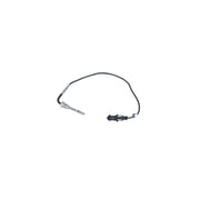 NRF Exhaust Gas Temperature Sensor before soot particulate f 707168