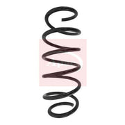 Apec Front Suspension Coil Spring ACS1549