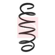 Apec Front Suspension Coil Spring ACS1549
