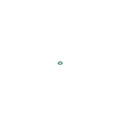 Bosch Rubber Seal Ring 1 928 300 887