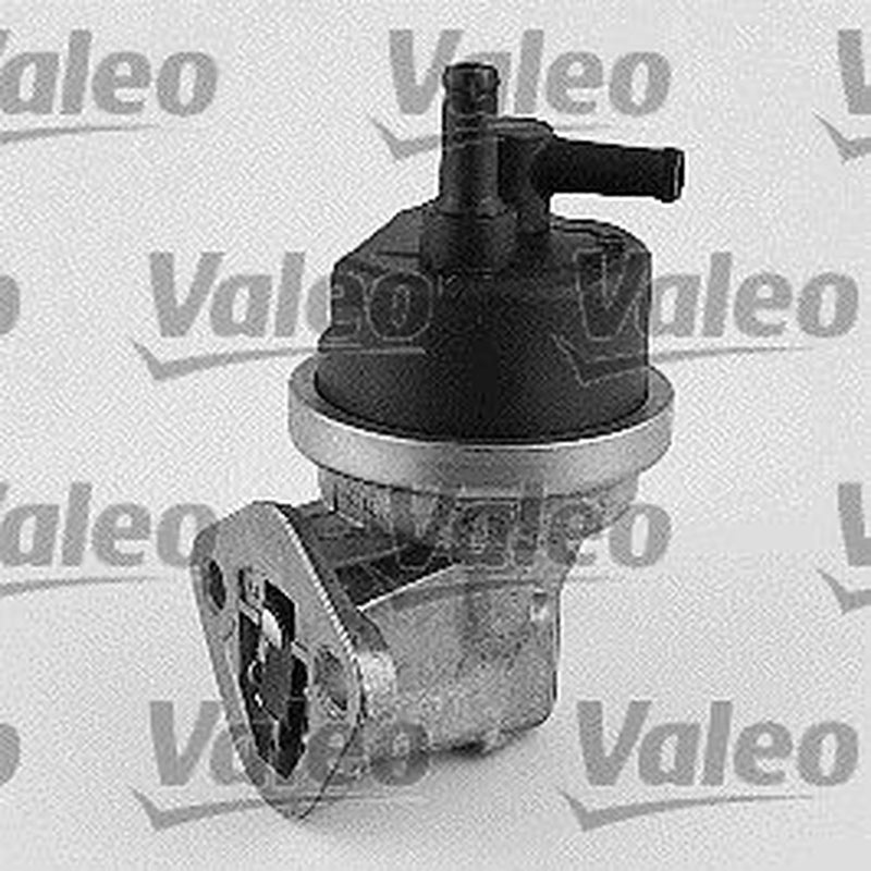 Valeo Fuel Pump Assembly 474661