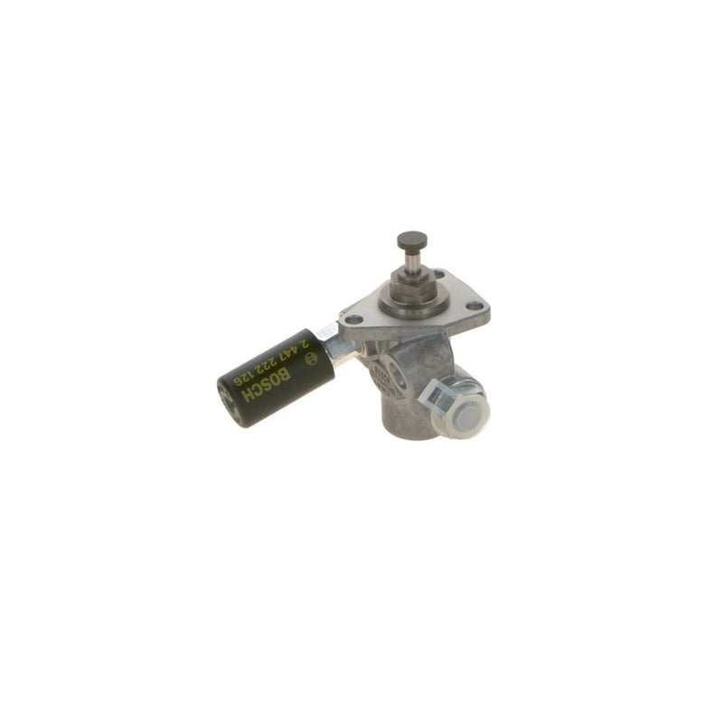 Bosch Fuel Pump Assembly 0 440 008 137