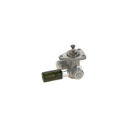 Bosch Fuel Pump Assembly 0 440 017 030