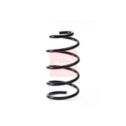 Apec Front Suspension Coil Spring ACS1827
