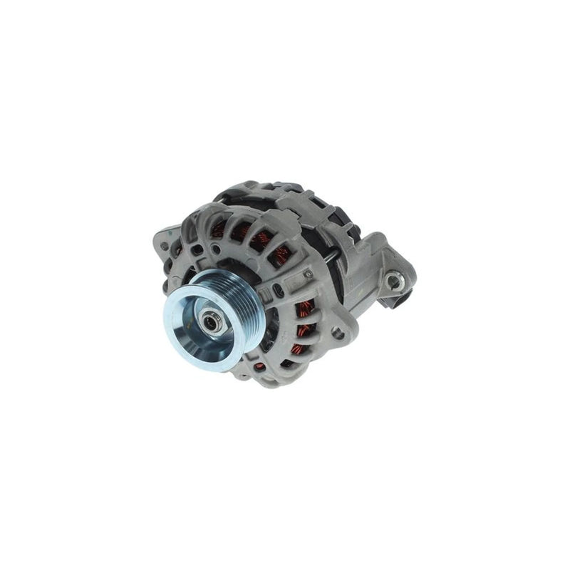 Bosch Car Alternator 12V F 004 BL0 100