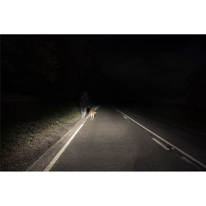 Ring 12V 55W H1 P14.5S Xenon5000 Whiter Car Upgrade Headlight Headlamp Bulbs Ring  - Town Parts