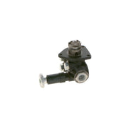 Bosch Fuel Pump Assembly 0 440 002 031