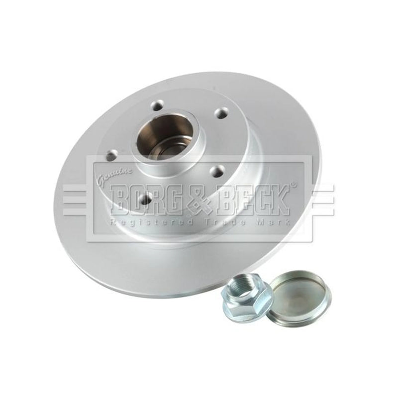 Borg & Beck 2 x Solid Rear Brake Discs BBD5966S
