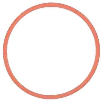 Elring 570.516 Gasket, intake manifold