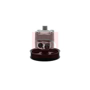 Apec Power Steering Hydraulic Pump APS1049