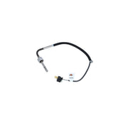 NRF Exhaust Gas Temperature Sensor before soot partic 707064