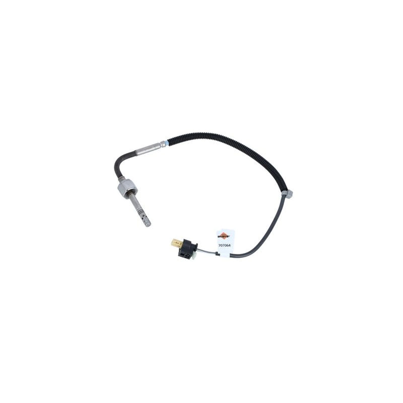 NRF Exhaust Gas Temperature Sensor before soot partic 707064