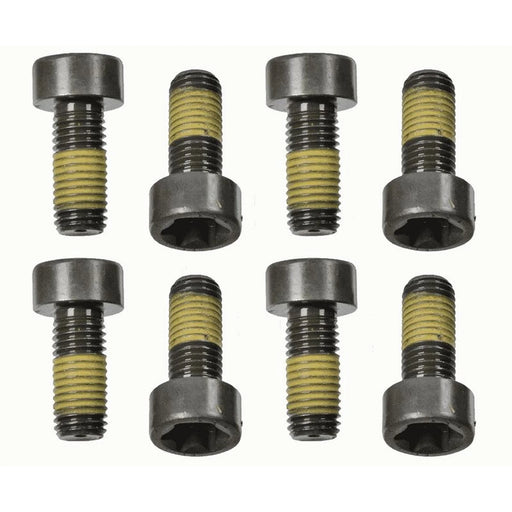 Sachs Dmf Screw Set (Special Order) 1874000058 1713793 1874000058