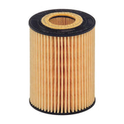 Hengst Engine Oil Filter E71H D141