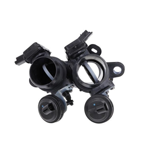 Valeo Electronic Throttle Body Assembly 700462