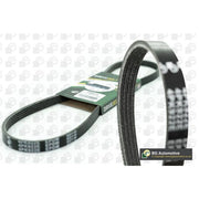 BGA Multi V-Ribbed Drive Belt 4PK811E