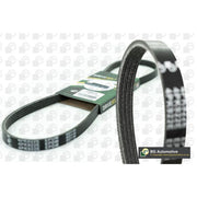 BGA Multi V-Ribbed Drive Belt 4PK643E