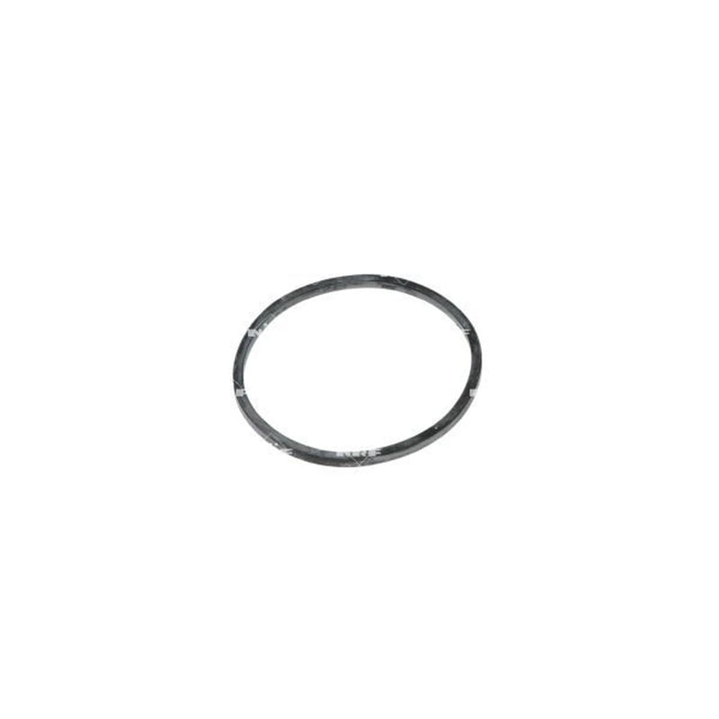 NRF Thermostat,Coolant 725231