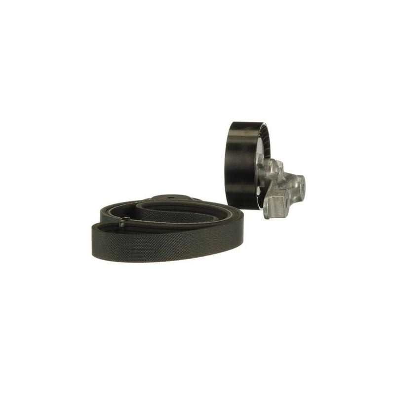 Gates V-Ribbed Belt Set K016PK989SF